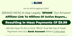 blinksoftwareinc.com Review