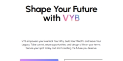 thevyb.io Review