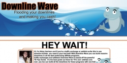downlinewave.com Review