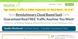 trafficivy.com Review