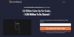 bitcoinblack.cash Review