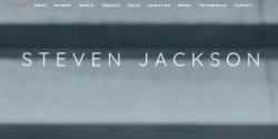 steven-jackson.com Review