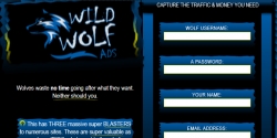 wildwolfads.com Review