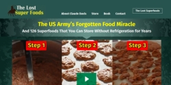 thelostsurvivalfoods.com Review