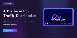 vidilook.io Review