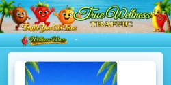 truewellnesstraffic.com Review