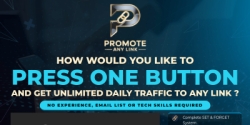 promoteyouroffer.net Review