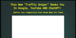 trafficsniper.net Review