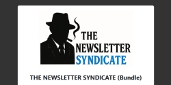 thenewslettersyndicate.com Review