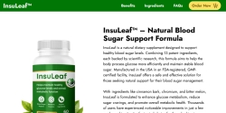 en-insuleafs.com Review