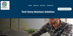 techsavvybizsolutions.com Review