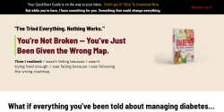 thediabetesroadmap.com Review