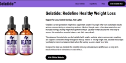 us-en-gelatide.com Review