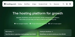 hosting.com Review
