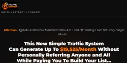 trafficignition.com Review