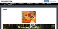 domains.capital Review