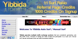 yibbida.com Review